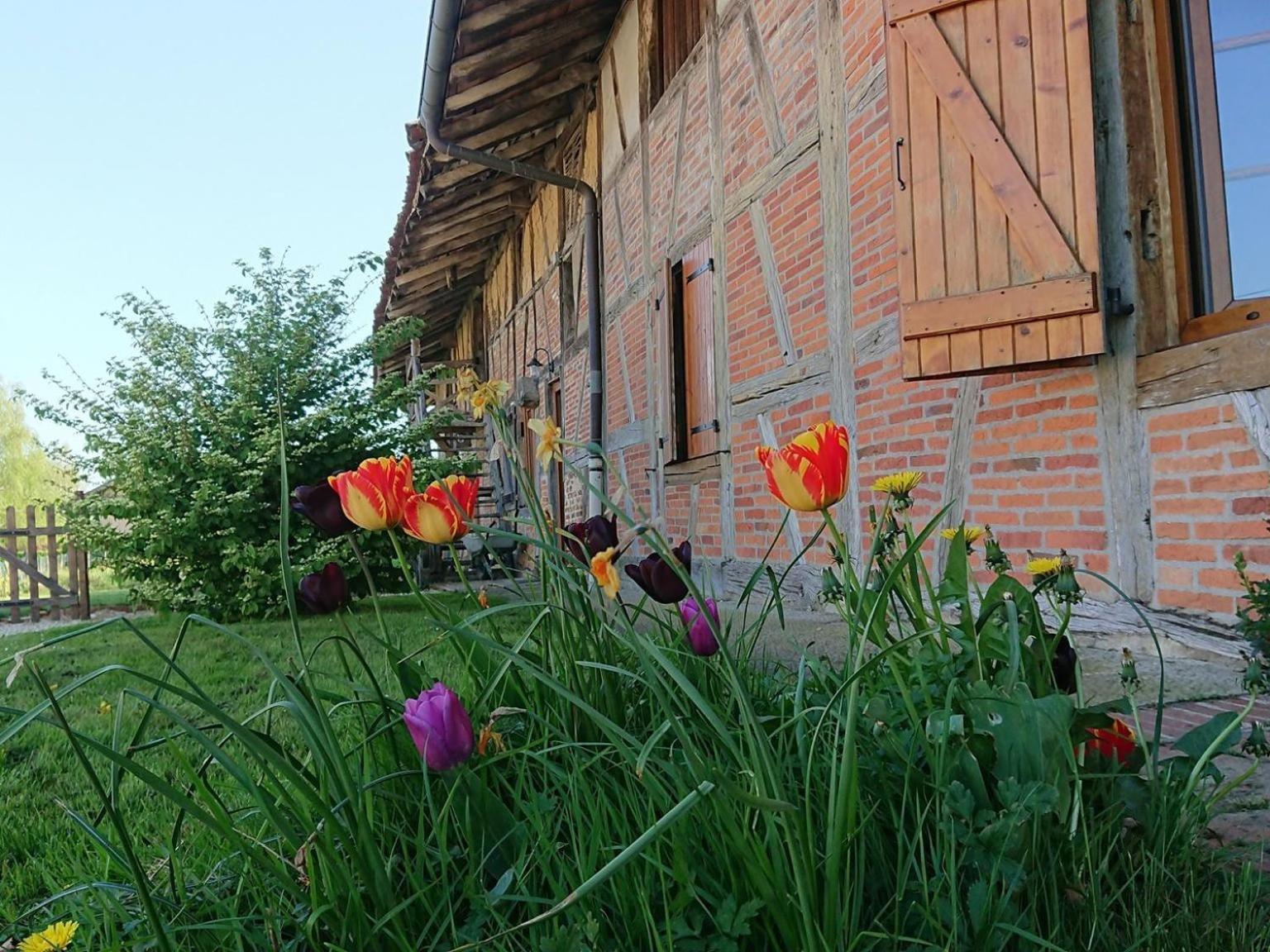 A La Poularde B&B Curciat-Dongalon الغرفة الصورة