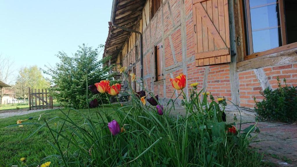 A La Poularde B&B Curciat-Dongalon الغرفة الصورة